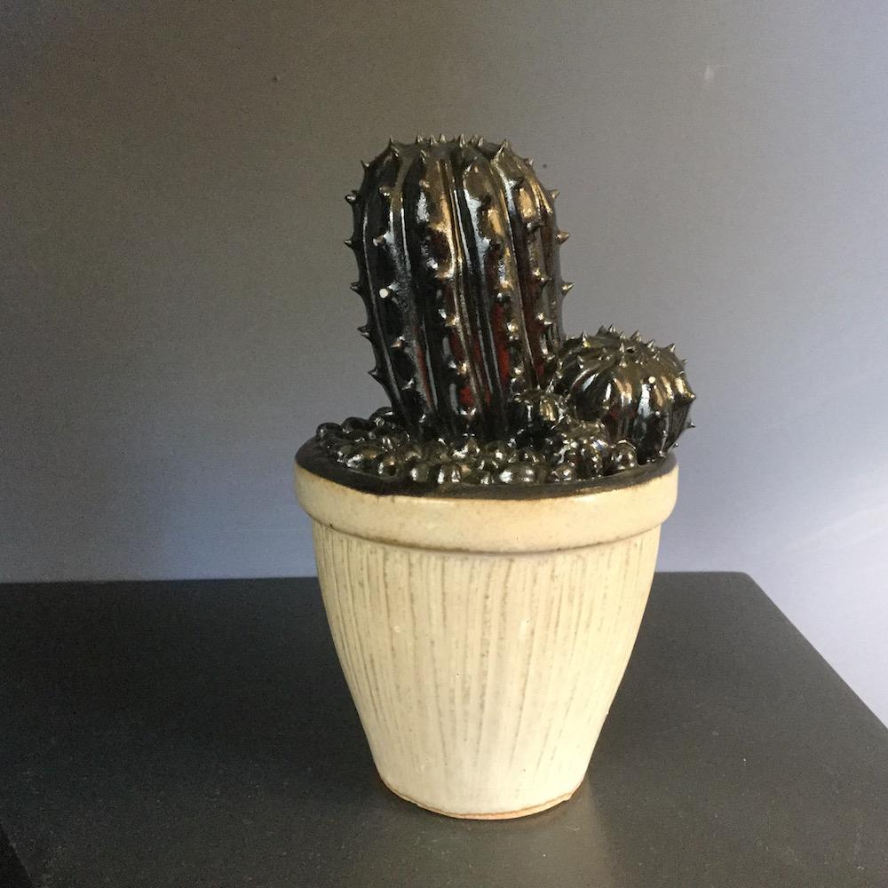cactus ceramica nero