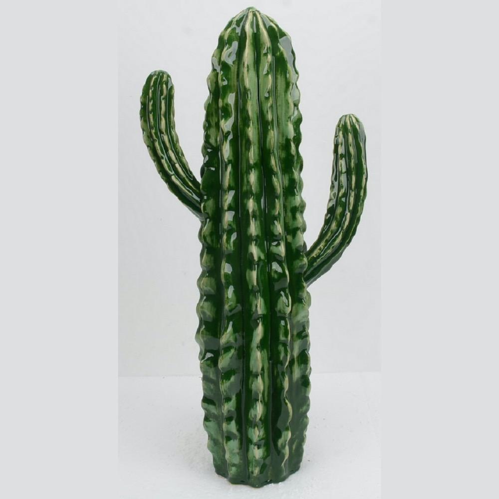 cactus alto