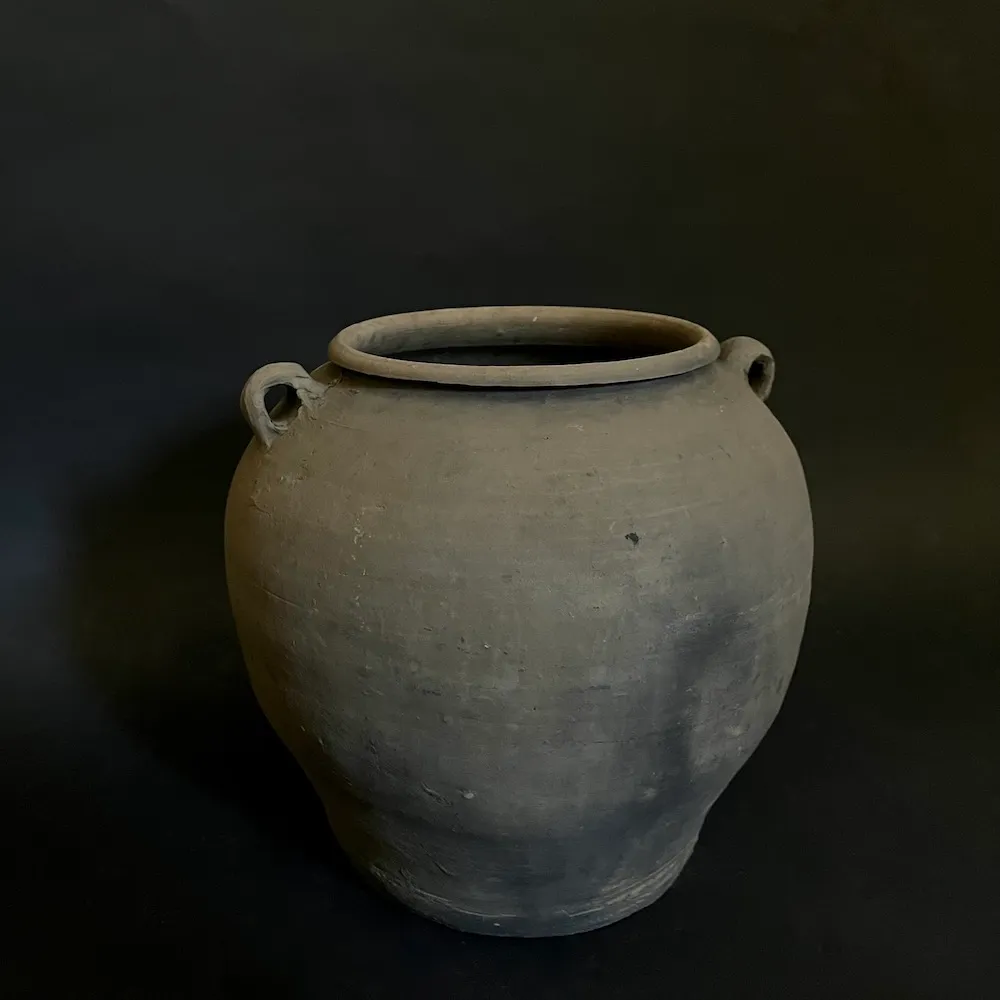 vaso-vintage-grigio-piante-