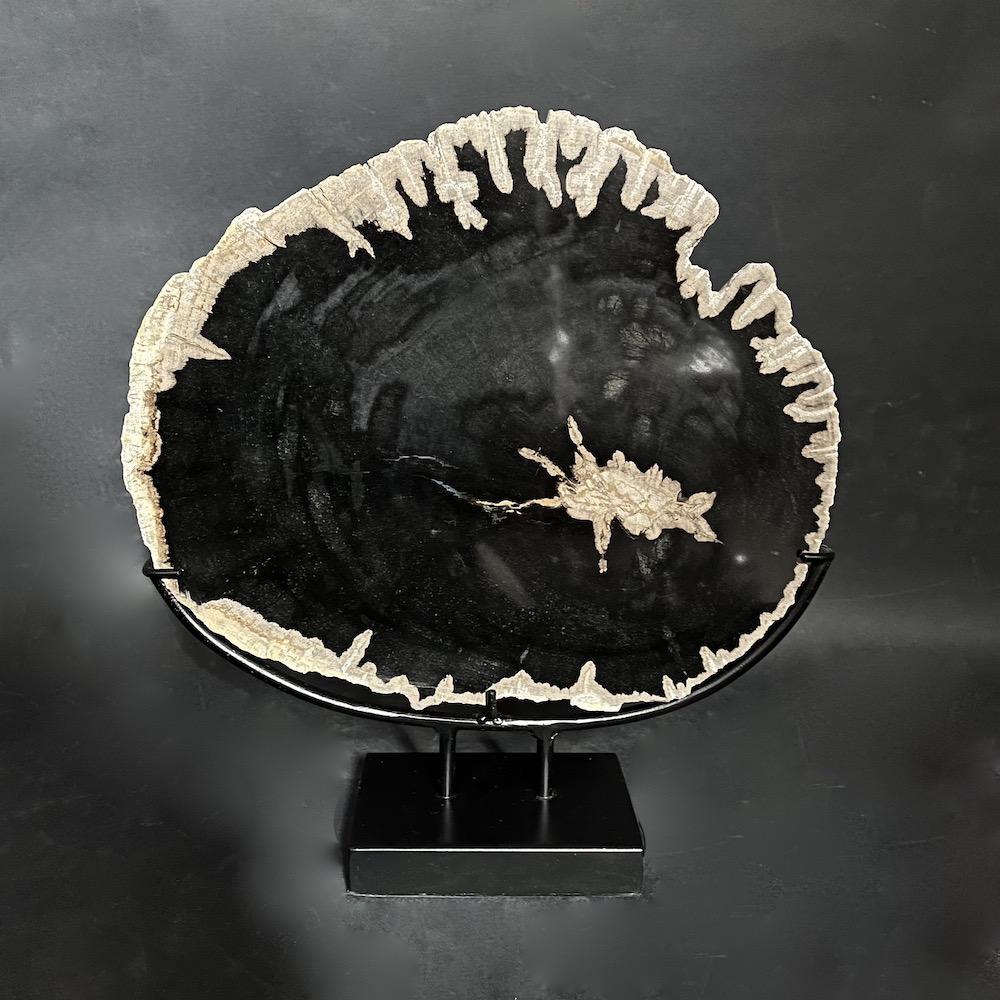 legno fossile nero